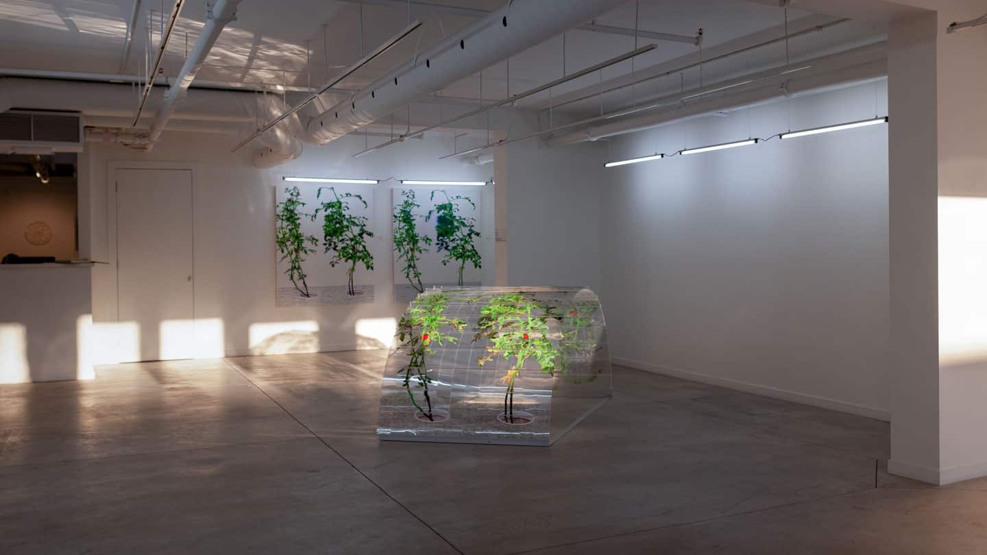 Alex Fischer,  1, 7 and 6000 evening light, O'Born Contemporary 